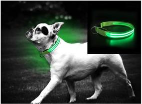 img 4 attached to 🐶 SafetyPet LED Neon Dog Collar: Enhance Nighttime Visibility with USB Rechargeable Option - Choose from 5 Vibrant Colors!