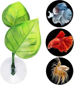 img 2 attached to 🐠 Set of 4 Betta Fish Leaf Pads with Suction Cup, Lystaii Betta Bed Leaf Hammock - Double Leaf Design, Lightweight and Realistic Resting Spot - Breeding Decoration for Comfortable Laying and Hiding Habitat