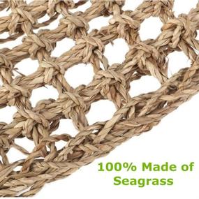 img 1 attached to Aiicioo Lizard Hammock Lounger - Seagrass Fibers Ideal for Anoles, Bearded Dragons, Geckos, Iguanas & Hermit Crabs - 100% Natural