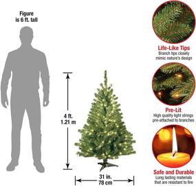 img 3 attached to 4-Foot National Tree Company Pre-Lit Artificial Mini Christmas Tree - Green Kincaid Spruce with White Lights & Stand