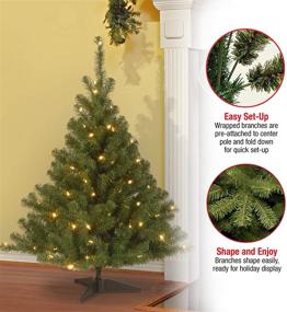 img 2 attached to 4-Foot National Tree Company Pre-Lit Artificial Mini Christmas Tree - Green Kincaid Spruce with White Lights & Stand