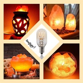 img 3 attached to 💡 Soothing Salt Rock Lamp Bulb Set: 10 Pack + 2 Free 15 Watt Replacement Bulbs for Himalayan Salt Lamps & Baskets, Scentsy Plug-ins & Wax Warmers, Night Lights. Incandescent T20 E12 Socket with Candelabra Base, Clear
