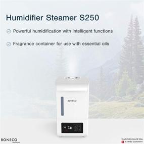 img 2 attached to BONECO Digital Humidifier S250 Cleaning