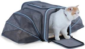 img 3 attached to 🐱 Petsfit Expandable Cat Carrier & Dog Carrier - Airline Approved Soft-Sided Portable Pet Travel Carrier for Kittens, Puppies - Removable Plush Mat, Pockets & Safety Locking Zippers - Machine Washable