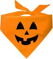 tees tails lantern pumpkin halloween логотип