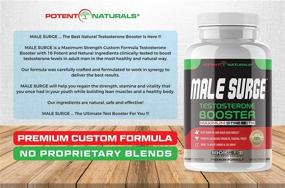 img 1 attached to 💪 Potent Naturals Male Surge Testosterone Booster: 2100mg D-AA-CC, D3, K2, B6, Zinc, Boron, Ginseng - Energy, Stamina, Male Enhancing Pills & Vitamins for Men
