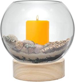 img 1 attached to CYS EXCEL Glass Terrarium Candle Holder Bubble Bowl with Wood Base (Height: 8 inches, Width: 6.5 inches), Unique Fish Bowl Aquarium with Wooden Stand, Plant Bubble Dome, Candy Bowl Storage Container