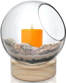 img 2 attached to CYS EXCEL Glass Terrarium Candle Holder Bubble Bowl with Wood Base (Height: 8 inches, Width: 6.5 inches), Unique Fish Bowl Aquarium with Wooden Stand, Plant Bubble Dome, Candy Bowl Storage Container