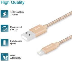 img 2 attached to 🔌 Транеса двойное USB зарядное устройство для настенной розетки с 6-футовым кабелем для зарядки MFI Lightning для iPhone X, iPhone 8/8 Plus, iPhone 7/7 Plus, iPhone 6, iPad, iPad Pro и других устройств (Золотой)