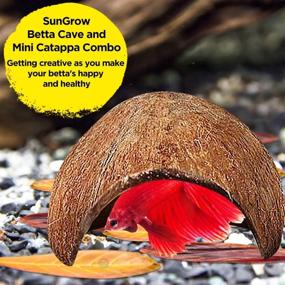 img 1 attached to SunGrow Betta Cave & 50 Catappa Leaves Combo: Enhances Scale Strength, Hideout Space, Water Quality Maintenance | Genuine Coconut Shell & Raw Leaves | pH Lowering Miracle Leaves | 1 Pack