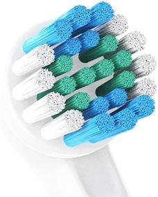 img 2 attached to 🦷 Oral B Braun Electric Toothbrush Replacement Brush Heads - 12 Pack - Compatible with Oralb Kids, Pro 1000, Professional Care Precision, 3D 2000, Vitality, Soft 500, Pulsonic, Complete Clean Sonic and More!