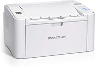 highly efficient pantum p2502w wireless monochrome laser printer: ideal for mobile printing, airprint, home, and school use logo