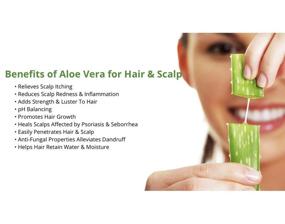 img 2 attached to Organic Bubbles - Aloe Vera Shampoo & Conditioner: Promoting Hair Growth, Health & Shine (490ml)