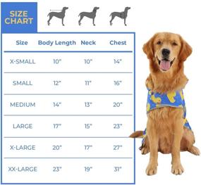 img 2 attached to 🐶 HDE Reversible Dog Raincoat with Hood - Waterproof Slicker Poncho Jacket for Small Medium Large Dogs