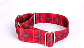 img 4 attached to Alpha Lifestyle Pets Martingale Collar