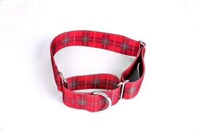 img 2 attached to Alpha Lifestyle Pets Martingale Collar