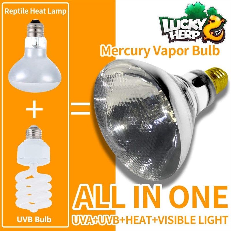 Mercury vapour clearance bulb reptile