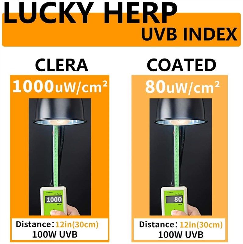 Lucky Herp 100W UVA UVB Mercury Vapor Bulb Powerful