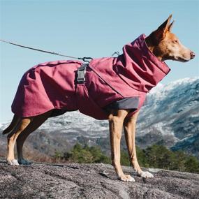 img 3 attached to Hurtta Expedition Parka Winter Beetroot Dogs in Apparel & Accessories