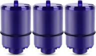 🔄 enhanced icepure rf 9999 fm2500v filtration replacement logo