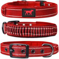 🐶 tough pupper heavy-duty dog collar with handle - ballistic nylon, padded reflective collar, adjustable stainless steel hardware - convenient sizing for all breeds logo