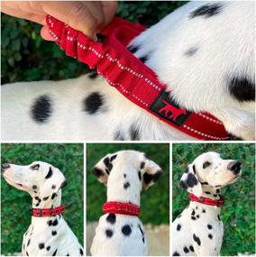 img 2 attached to 🐶 Tough Pupper Heavy-Duty Dog Collar with Handle - Ballistic Nylon, Padded Reflective Collar, Adjustable Stainless Steel Hardware - Convenient Sizing for All Breeds