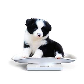 img 3 attached to 🐾 TAIGUJI Small Pet Scale: Digital Electronic Puppy & Kitchen Scale with Automatic Peeling & Shutdown