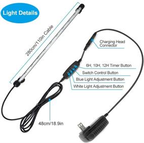 img 1 attached to 🐠 Top-rated 12V 18.9-inch Waterproof LED Aquarium Light with Timer for Fish Tank - Auto On and Off, White and Blue Light Bar Strick - Adjustable 3-Mode Lighting