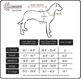 img 1 attached to 🐶 Оранжевый светоотражающий жилет Illumiseen для собак с LED подсветкой и отражающими полосами, встроенными аккумуляторными фонарями, улучшающий видимость собаки на улице во время прогулок, бега и тренировки – В комплекте ремни и пряжки.