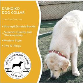 img 2 attached to 🐶 Durable Leather Dog Collar for Small to Extra Large Breed Dogs: DAIHAQIKO Classic, Genuine, and Heavy Duty