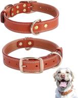 🐶 durable leather dog collar for small to extra large breed dogs: daihaqiko classic, genuine, and heavy duty logo