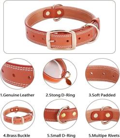 img 3 attached to 🐶 Durable Leather Dog Collar for Small to Extra Large Breed Dogs: DAIHAQIKO Classic, Genuine, and Heavy Duty