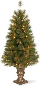 img 4 attached to 🌲 National Tree Company Green AT7-306-40 Tree, 24X24X48