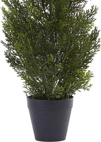 img 3 attached to 🌲 Authentic and Versatile: Nearly Natural 2ft. Mini Cedar Pine Silk Trees for Indoor/Outdoor Use - Vibrant Green Foliage