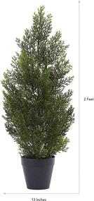 img 1 attached to 🌲 Authentic and Versatile: Nearly Natural 2ft. Mini Cedar Pine Silk Trees for Indoor/Outdoor Use - Vibrant Green Foliage