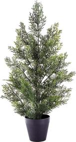 img 4 attached to 🌲 Authentic and Versatile: Nearly Natural 2ft. Mini Cedar Pine Silk Trees for Indoor/Outdoor Use - Vibrant Green Foliage