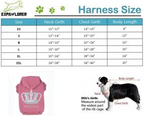 img 3 attached to 👑 EXPAWLORER Princess Dog Cat Fleece Sweatshirt Hoodies: Royalty-inspired Comfort for Your Pet's Purrfect Style