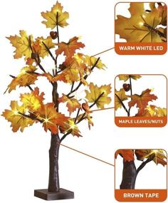 img 1 attached to EAMBRITE 2FT 24LT LED Fall Maple Tree: Festive Decor for Thanksgiving, Home, Wedding Party