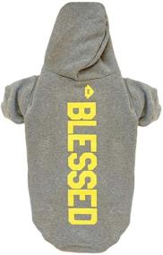 img 1 attached to Blessed D.O.G. 🐶 House Dogge Hoodie (Large)