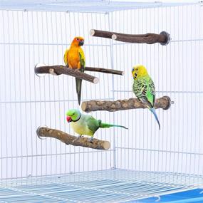img 3 attached to 🦜 Mogoko 4 Pcs Bird Perches Parrot Stand Natural Wood - Essential Cage Accessories for Conure, Budgie, and Parakeet - Fun Toys & Comfortable Platform