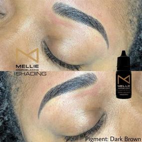 img 1 attached to 🎨 High-Quality Mellie Microblading Pigment: Dark Brown 10 ml/.35fl.oz for Long-Lasting and Professional PMU Tattoo Results