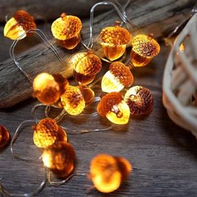 img 3 attached to 🍂 Fall Acorn String Lights: Festive Thanksgiving Decorations with Remote Control - 10ft USB Powered Fairy Lights for Bedroom, Farmhouse, and Holiday Décor