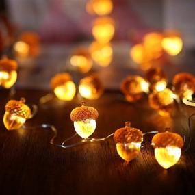 img 2 attached to 🍂 Fall Acorn String Lights: Festive Thanksgiving Decorations with Remote Control - 10ft USB Powered Fairy Lights for Bedroom, Farmhouse, and Holiday Décor