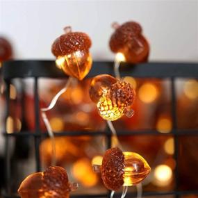 img 1 attached to 🍂 Fall Acorn String Lights: Festive Thanksgiving Decorations with Remote Control - 10ft USB Powered Fairy Lights for Bedroom, Farmhouse, and Holiday Décor