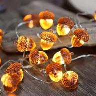 🍂 fall acorn string lights: festive thanksgiving decorations with remote control - 10ft usb powered fairy lights for bedroom, farmhouse, and holiday décor logo