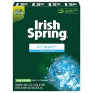 брусок дезодорантного мыла для мужчин irish spring, icy blast - 24 бруска: свежесть, которая длится! логотип