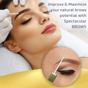 img 2 attached to Brows of Brilliance - Advanced Brow Enhancer & Growth Serum with Biotin & Natural Peptides. Boosts Eyebrow Growth for Thin or Over-Plucked Brows. Effective Lash & Brow Growth Products