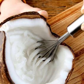 img 1 attached to 🥥 Multipurpose Stainless Steel Coconut Meat Removal Knife - Alwaysuc Stainless Steel Planer