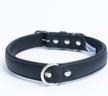leather collar padded retriever terrier logo