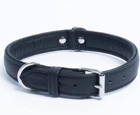 img 2 attached to Leather Collar Padded Retriever Terrier